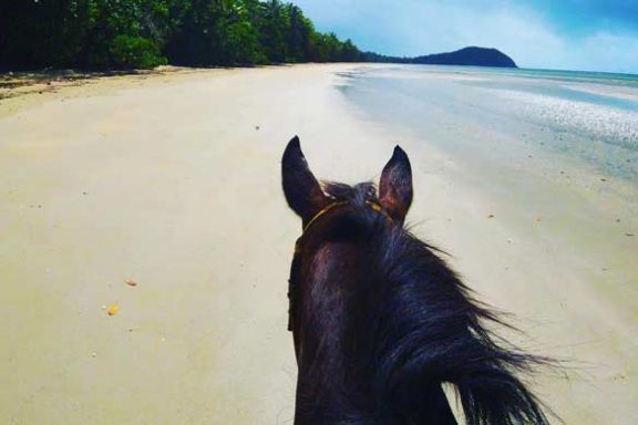 Daintree-Hourseriding